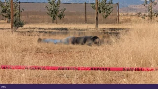 Diseño sin título.png