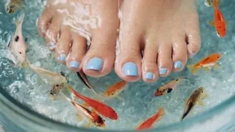 pedicura con peces.jpg
