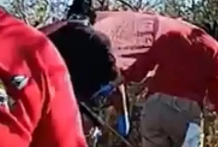 _Colectivo “Hasta encontrarte” localiza 4 cuerpos en 2 fosas clandestinas en cerro de Irapuato domingo 4 enero 2026.png