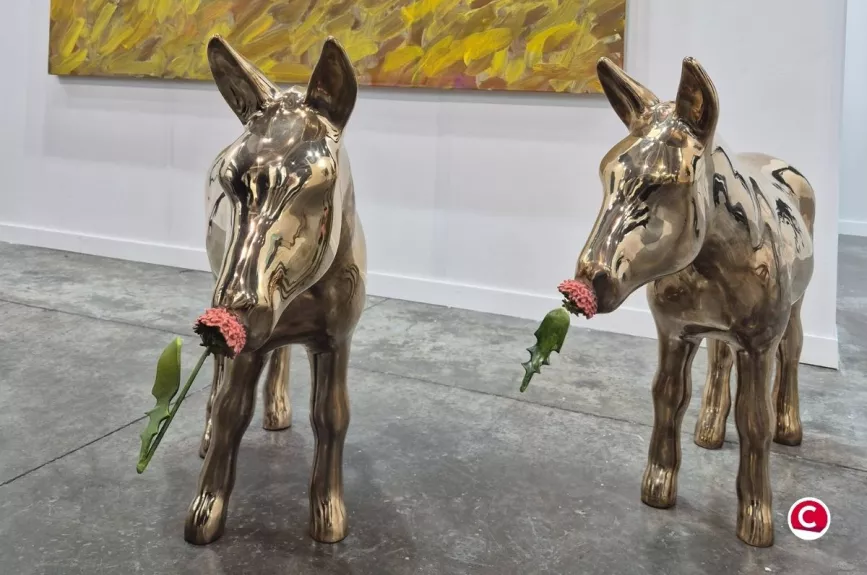 ZSONAMACO 2026 en fotos