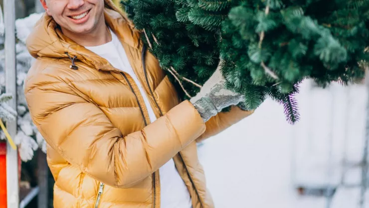cruzar un arbolito de navidad por las garitas de Tijuana