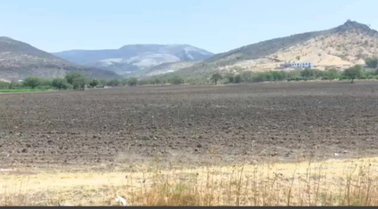 Campos secos en Guanajuato