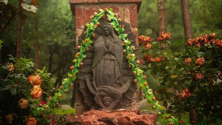 ¿Por qué se conmemora el Día de la Virgen de Guadalupe?