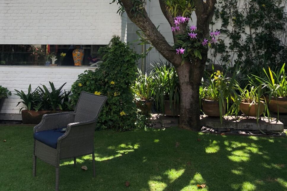 El jardín de la casa.jpeg