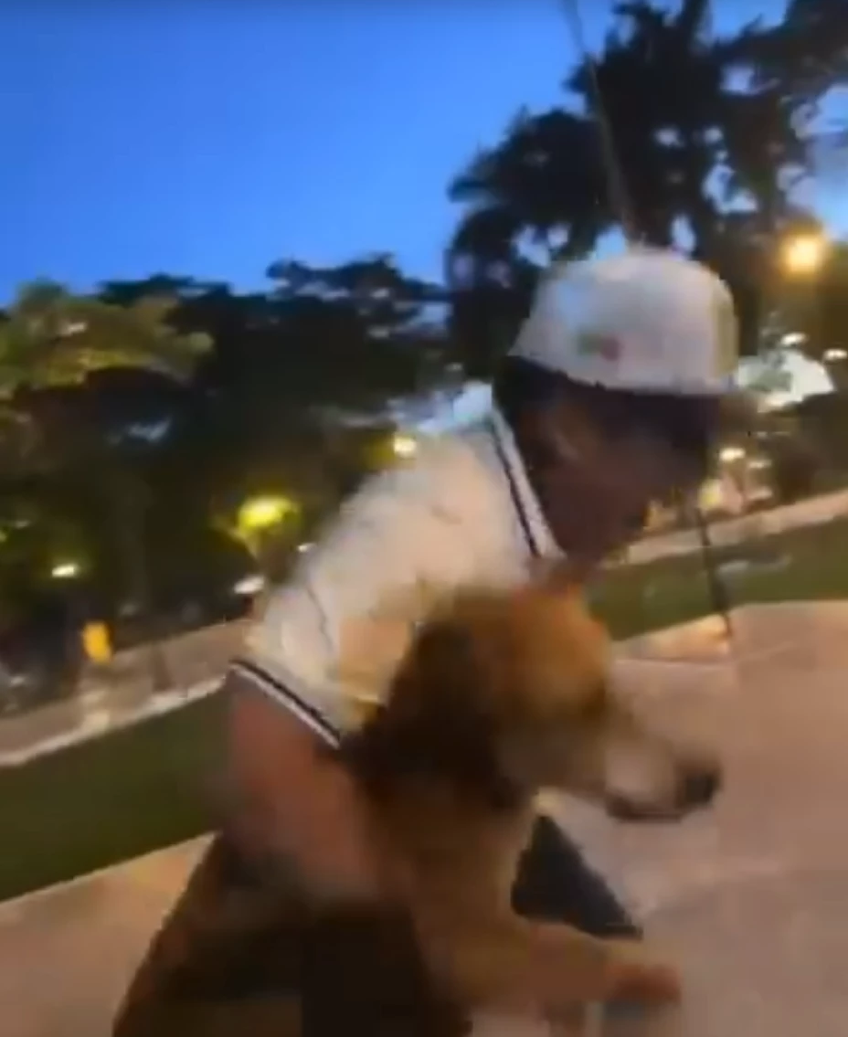 FOTOS: Jóvenes obligan a perro a beber alcohol en un nuevo caso de maltrato animal en Yucatán