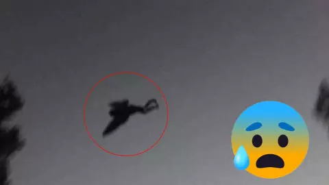 ¿Hombre pájaro? Encuentran extraña y horrible criatura del tamaño de un humano