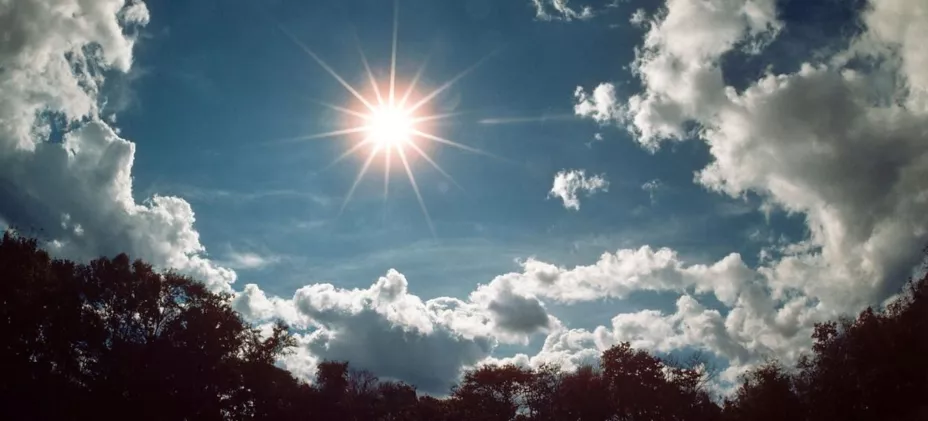 image1170x530cropped (1).jpg