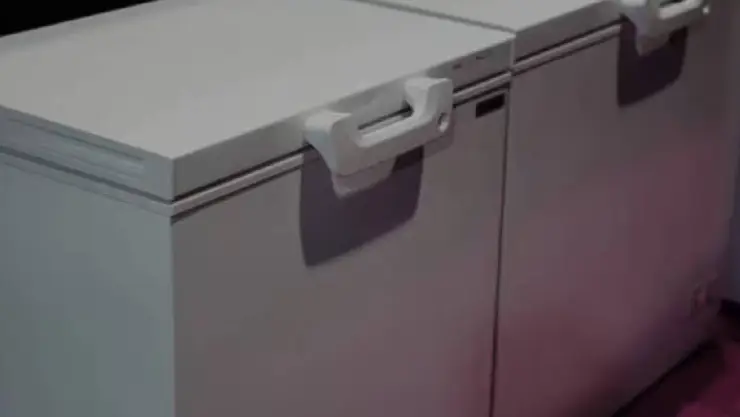 Hallan muerto a niño de 13 años en un refrigerador; bisabuela pierde la vida al enterarse.jpg
