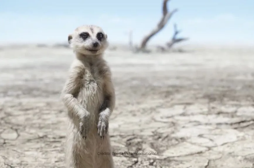 El Rey León Live Action Doblaje