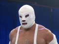 Lucha Fighter
