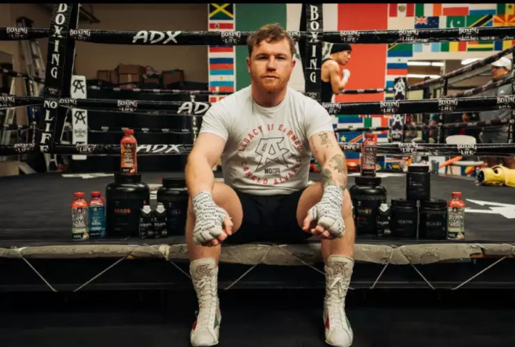 Saúl Canelo Ávarez y Conor McGregor podrían regresar al ring