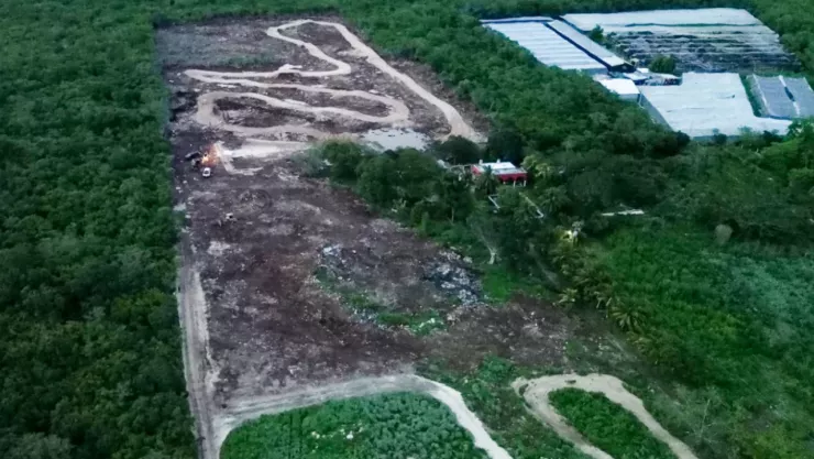 Profepa clausura predio en Chicxulub Pueblo, Yucatán por destruir 4.27 hectáreas de selva