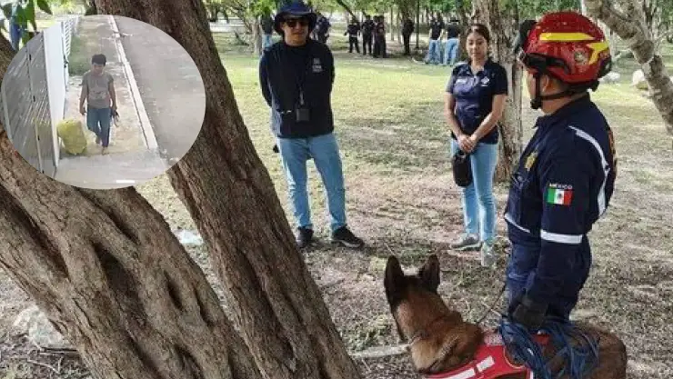 Desaparición de Lionel en Yucatán_ Lo que ha pasado con el menor de 12 años hoy 29 de octubre de 2024