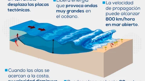 cuánto-nivel-del-mar-méxico-terremoto-rusia-costas-alerta-de-tsunami-hoy-grafico-tsunami