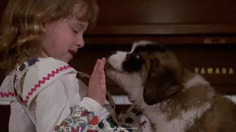 ¿Qué pasó con la actriz Sarah Rose Karr? La recordarás por el personaje de Emily Newton en Beethoven, entérate dónde está ahora.