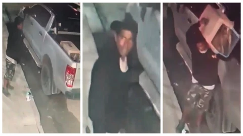 ¡Momento desgarrador! Ladrón sigiloso roba dos adorables perros de una camioneta en Oaxaca