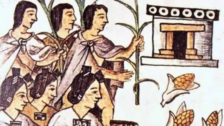 Historia del Zacahuil de Veracruz.