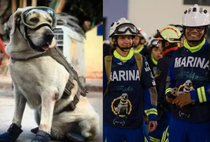 ¡Qué perro! Rescatistas mexicanos con playera de Frida van a Turquía