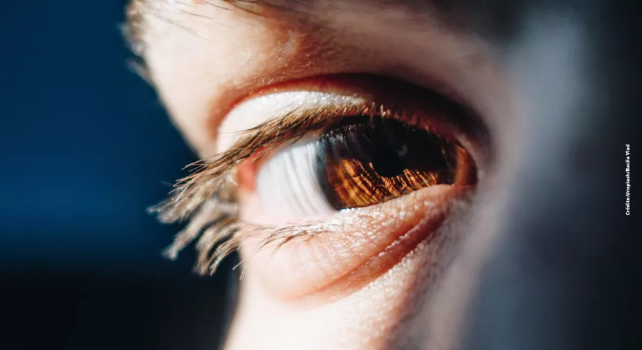 Prepara un contorno de ojos casero para eliminar las bolsas y arrugas de los ojos