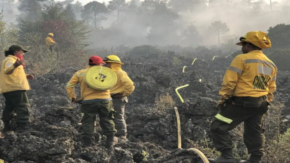 Piden apoyo de la ciudadanía para evitar incendios forestales en la CDMX.jpg