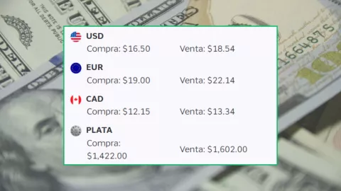¿En cuánto está el precio del dólar hoy 16 de marzo? Tipo de cambio en México