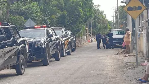 PORTADA perritos en Baca.jpg