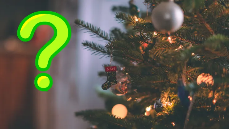 ¿A dónde llevar mi árbol de Navidad en Aguascalientes en 2025? 5 centros de acopio