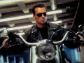 arnold-swarchenegger-terminator (4).jpg