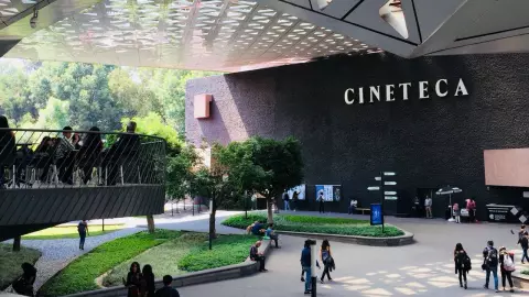 La Cineteca reabre este fin de semana con funciones al aire libre