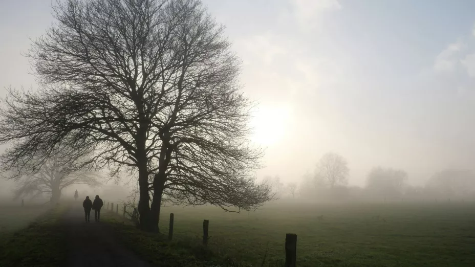 ¿Bajará la temperatura en Aguascalientes con la llegada del frente frío 7 a México Esto dice el pronóstico