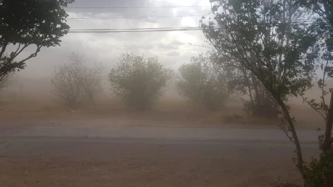 fuertes vientos chihuahua.jpg