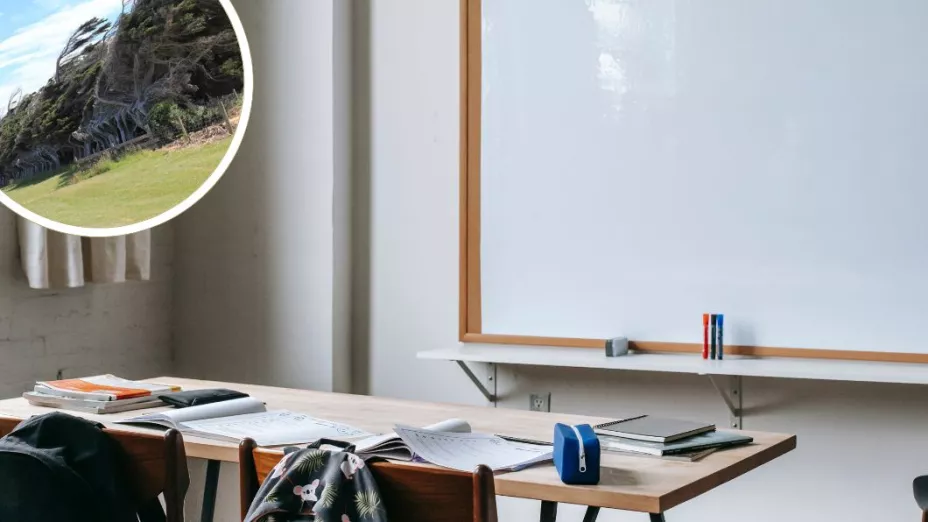 ¿Hay suspensión de clases en Tijuana por vientos de Santa Ana este viernes 8 de noviembre de 2024?