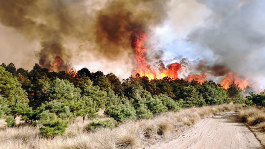 Incendio Toluca_Gobierno del Estado de México.jpg