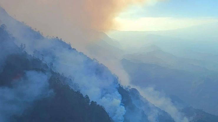 incendios forestales puebla