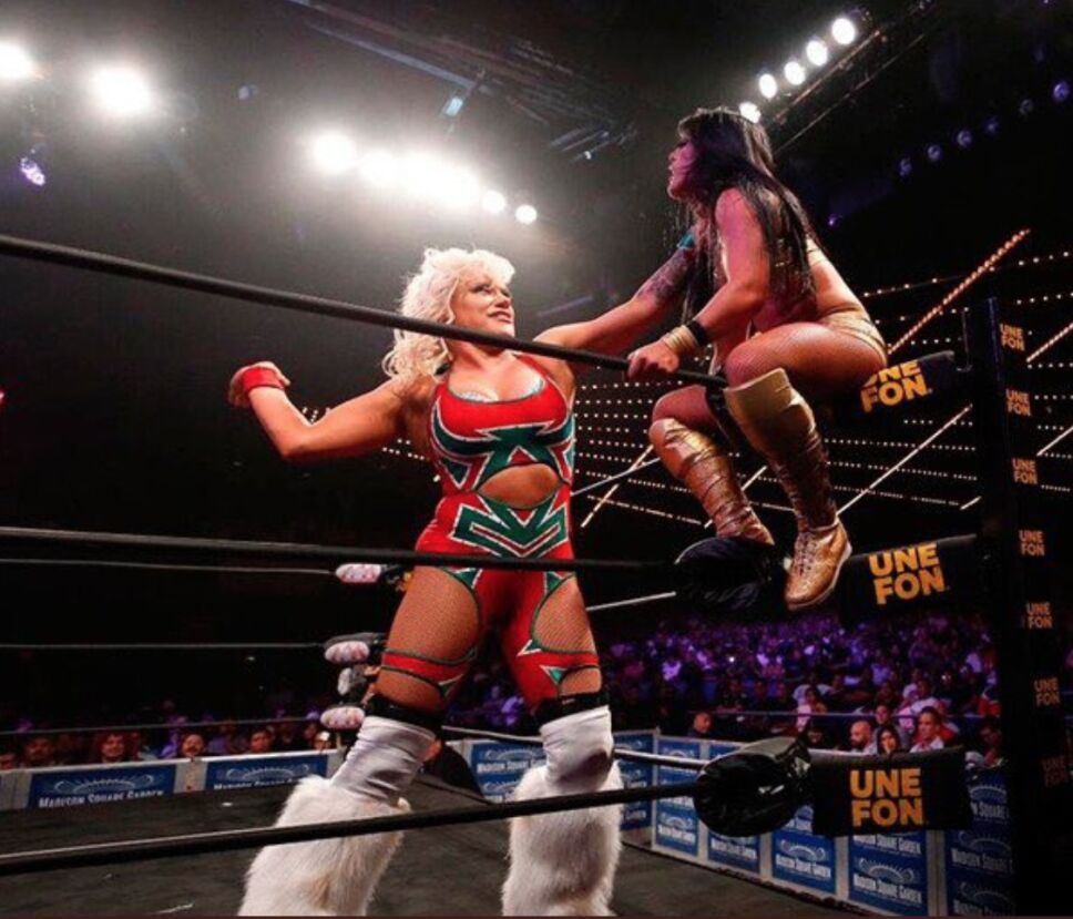 Taya