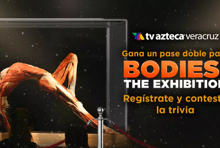 DINÁMICA BODIES THE EXHIBITION.