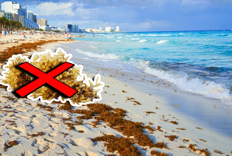 Estas son las playas sin sargazo en Quintana Roo HOY 16 de noviembre de 2025_ Cancún, Playa del Carmen, Tulum y más.webp