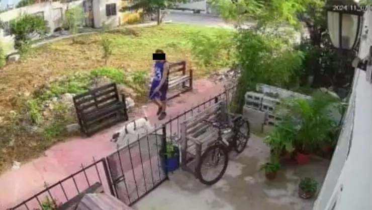 Abandono animal en Yucatán_ Acusan a sujeto de dejar amarrado a su perro