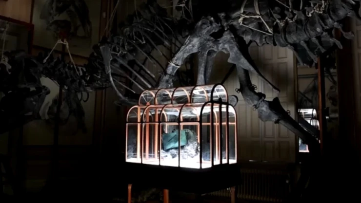 Crean bolso con “cuero” de dinosaurio, así lo consiguieron