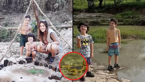 escorpión amarillo brasileño le pica a niño de siete años y muere tras sufrir siete infartos.jpg