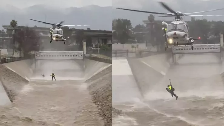 Tormenta en California Perro