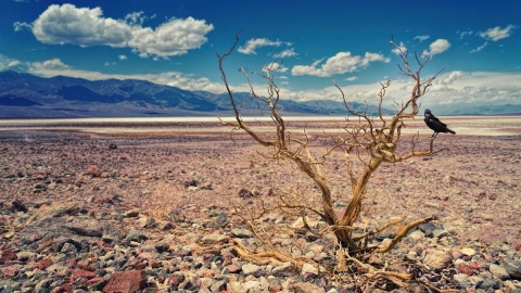 fenómeno de La Niña UNAM 2022 sequías