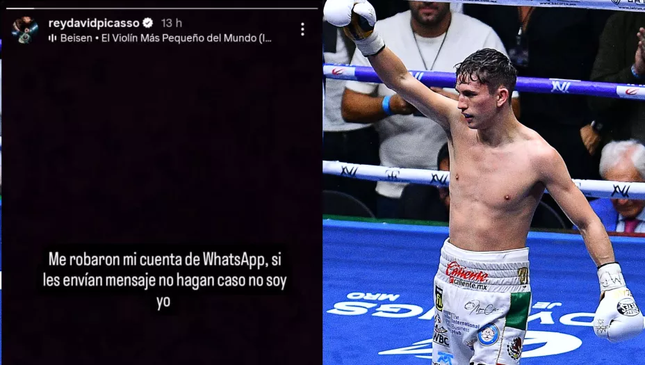 rey david picasso boxeador robo whatsapp