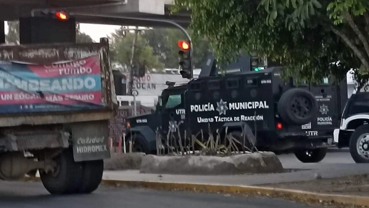mercado amalucan