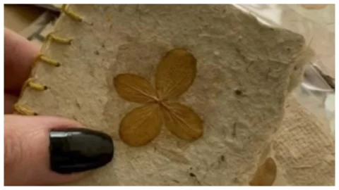 ideas reciclar papel