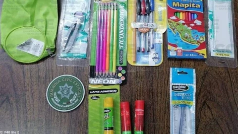 Mujer intenta robar útiles y es detenida