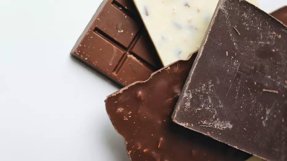 El origen del árbol de cacao