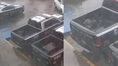 VIDEO Policías de Tijuana dejan a detenido bajo la lluvia