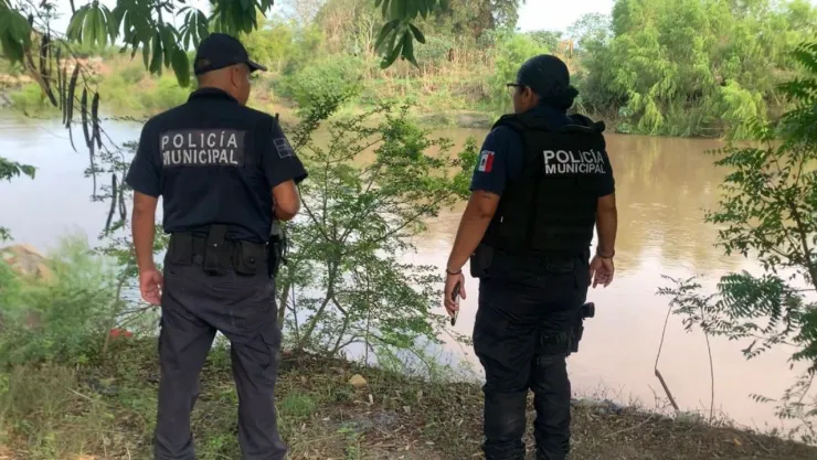 Cocodrilo arrastra un cuerpo de la cabeza