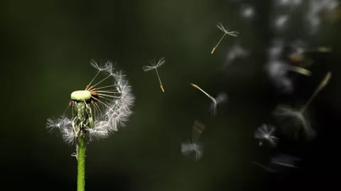 Calidad del aire en Torreón miércoles 9 de abril 2025.jpg